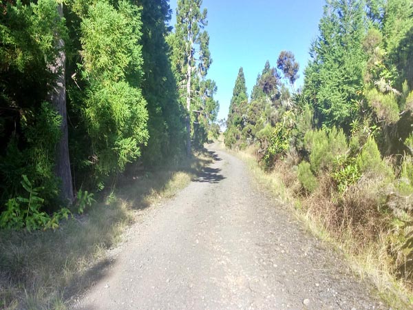 Photo Route forestière de la Scierie – Aire de pique-nique