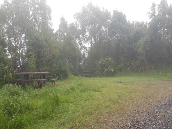 Route forestière de l’Eden – Aire de pique-nique