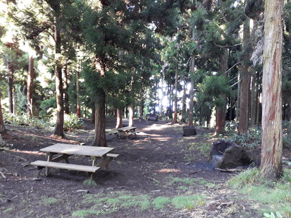 Photo Route forestière des Makes – Aire de pique-nique