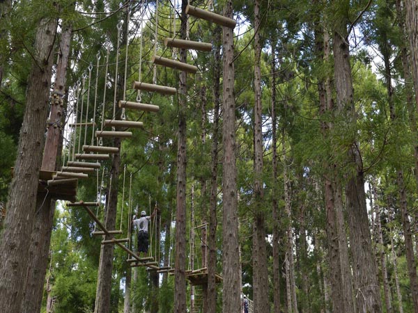 Photo Route forestière des Makes   –   Camp de Montplaisir – Aire de pique-nique