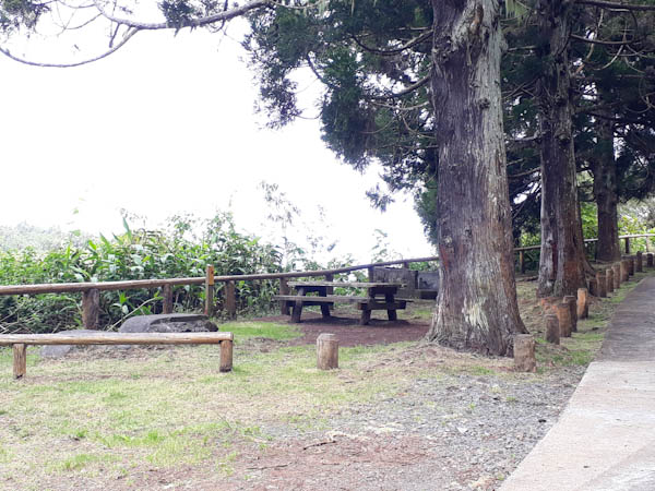 Route forestière du Tévelave – Aire de pique-nique