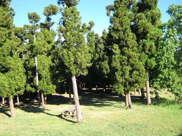 Route forestière du volcan – Camping nature