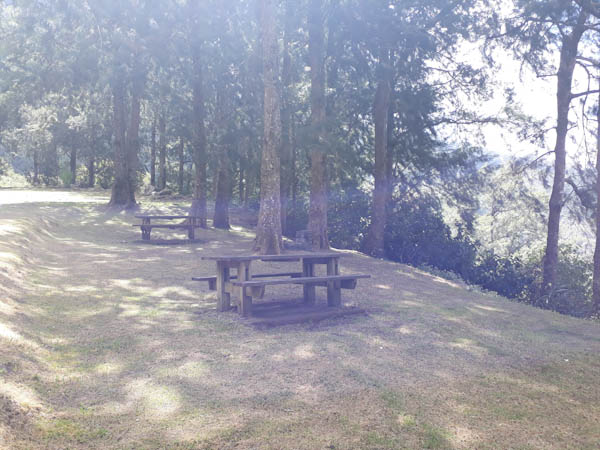 Salazie   –   Ravine Blanche – Aire de pique-nique