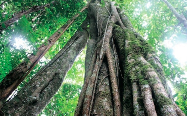 Photo Le sentier de Bon Accueil