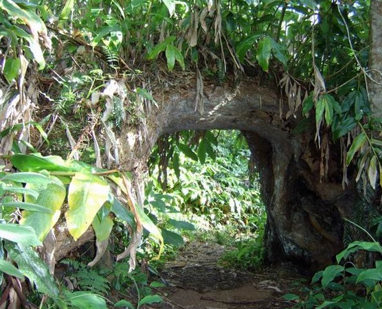 Sentier des Ouvriers