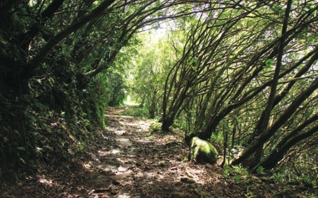Photo Le sentier des Ravenales