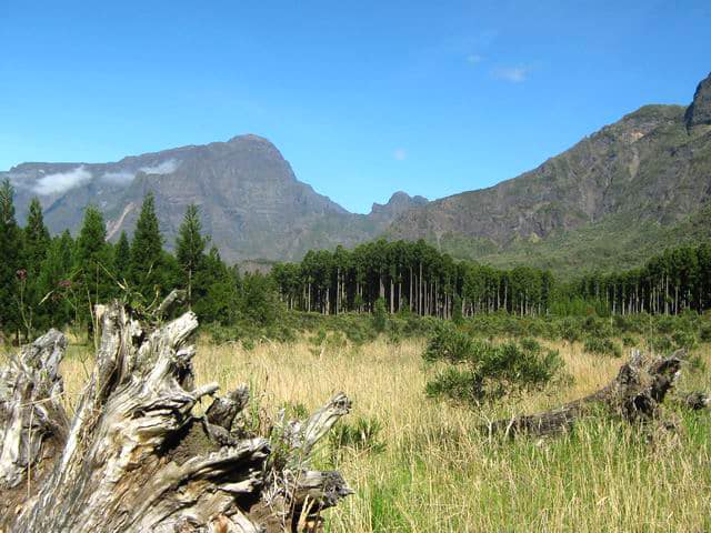 Photo Le sentier des Sources à Bras Sec