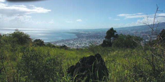 Photo Le sentier du Cap Bernard