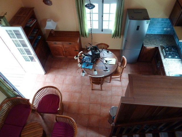 Photo Tamarinier de l’Inde (Le)