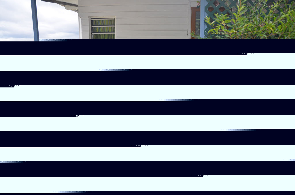 Photo Zoiseaux Paradis