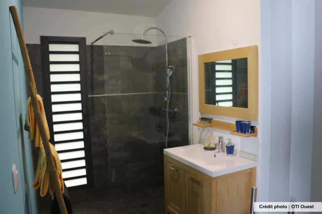 Photo Citron Galet (Le)