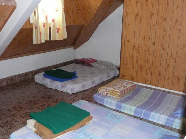 Photo Cryptoméria (Le)