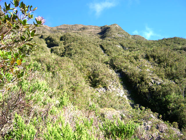 Photo À la rencontre du Tuit-Tuit